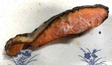 画像4: 山竹の粕漬け 鮭(さけ) (4)