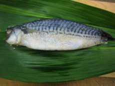 画像5: 塩さば 干物 (5)