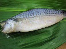 画像4: 塩さば 干物 (4)